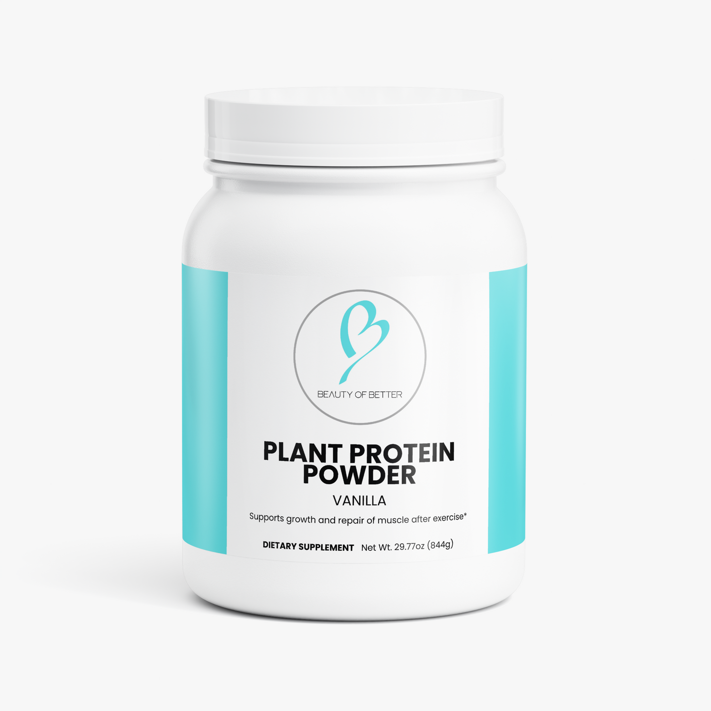 Plant Protein (Vanilla)
