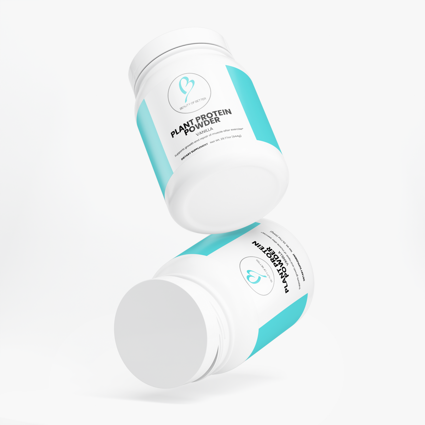 Plant Protein (Vanilla)