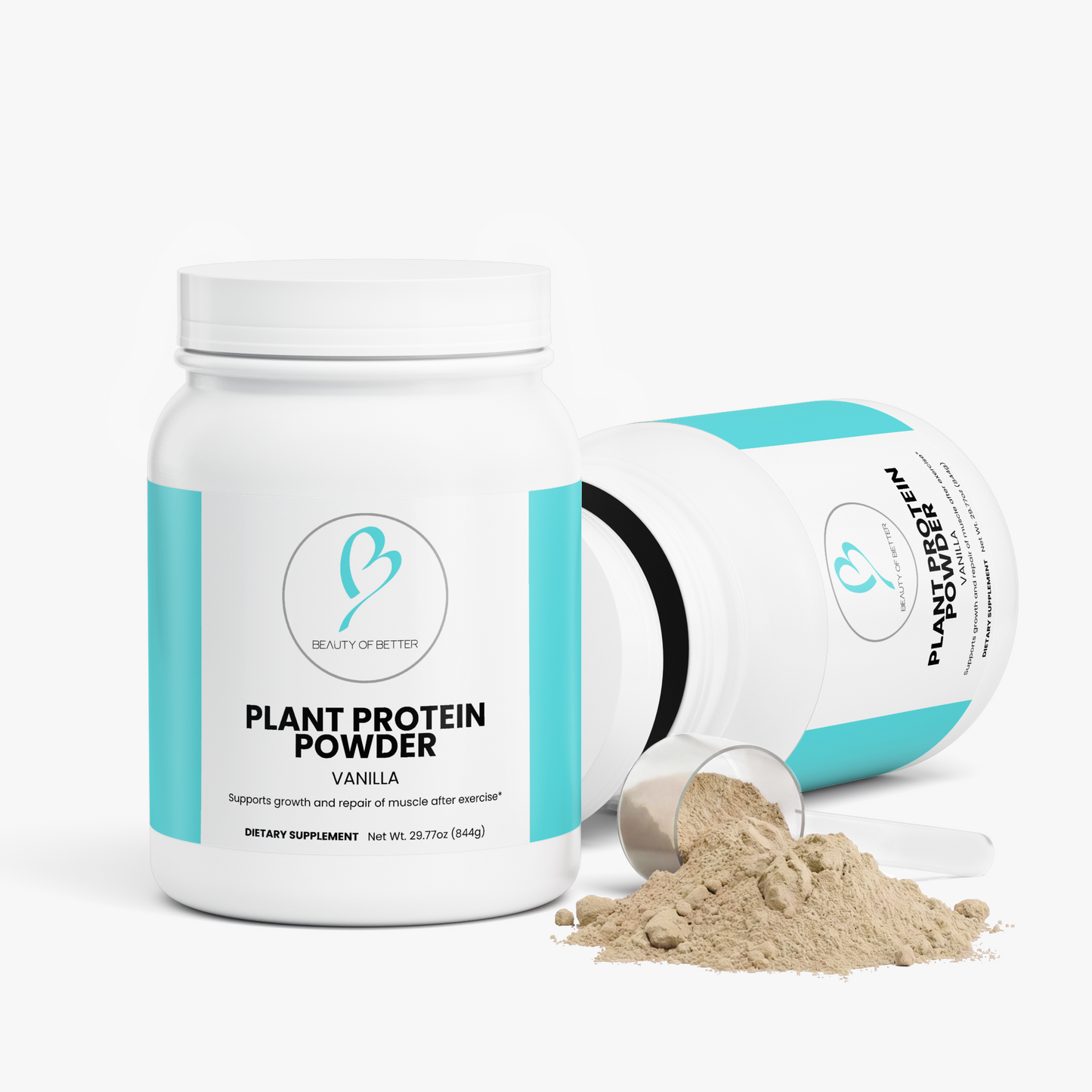 Plant Protein (Vanilla)